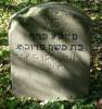 Here lies
Feile Perf  
daughter of Moshe Prucht
Neshtarben 8 Adar
5706 [9 February 1946]